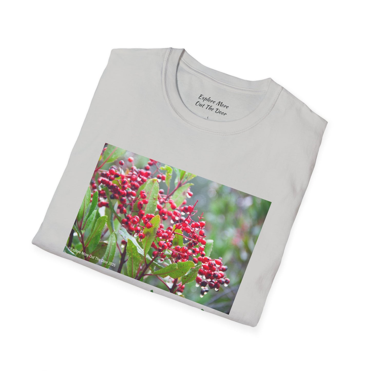 Berry and Bright Cheerful Softstyle T-Shirt