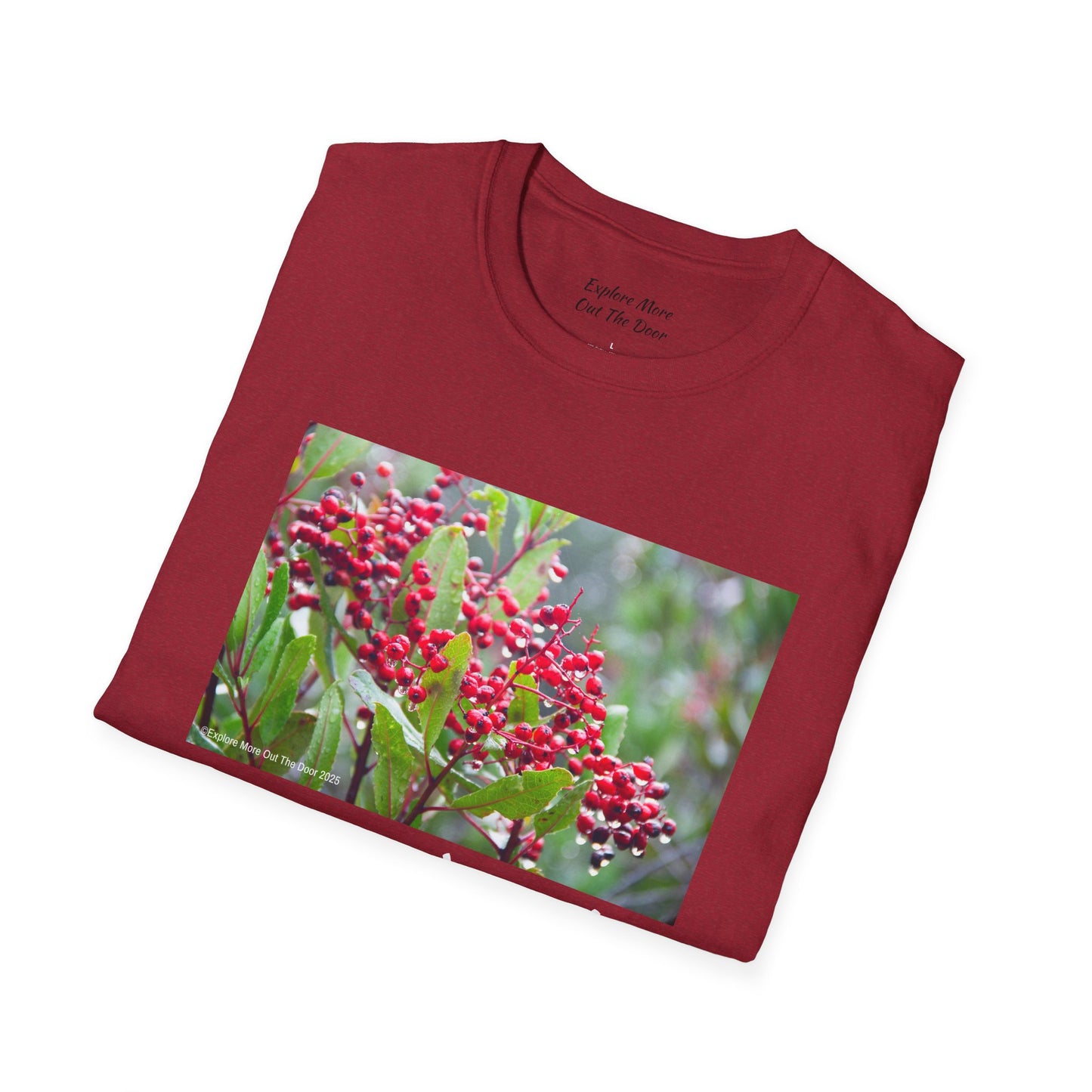 Berry and Bright Cheerful Softstyle T-Shirt