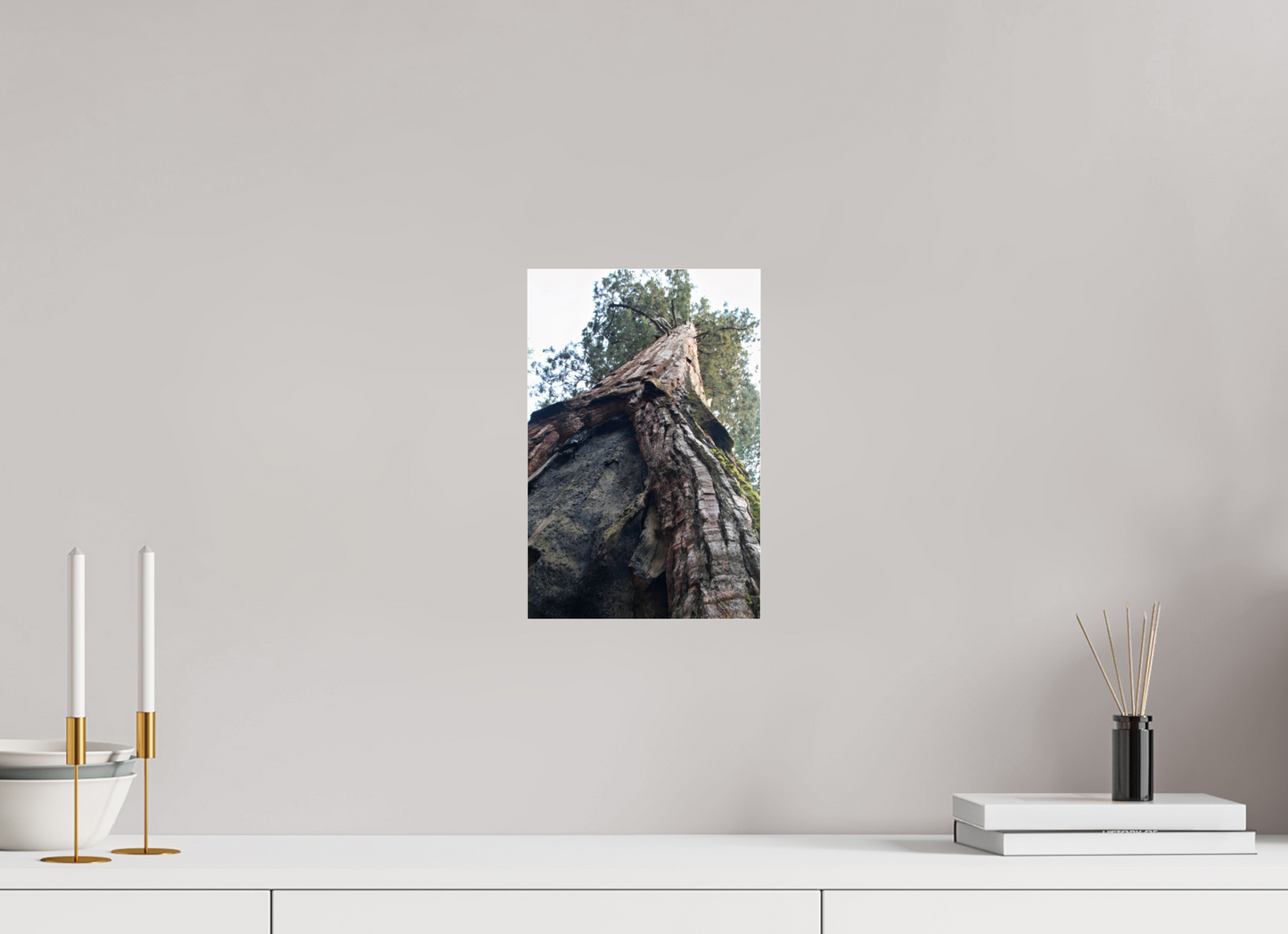8 x 12″, Photo Print Under Acrylic Glass Redwood Sky High