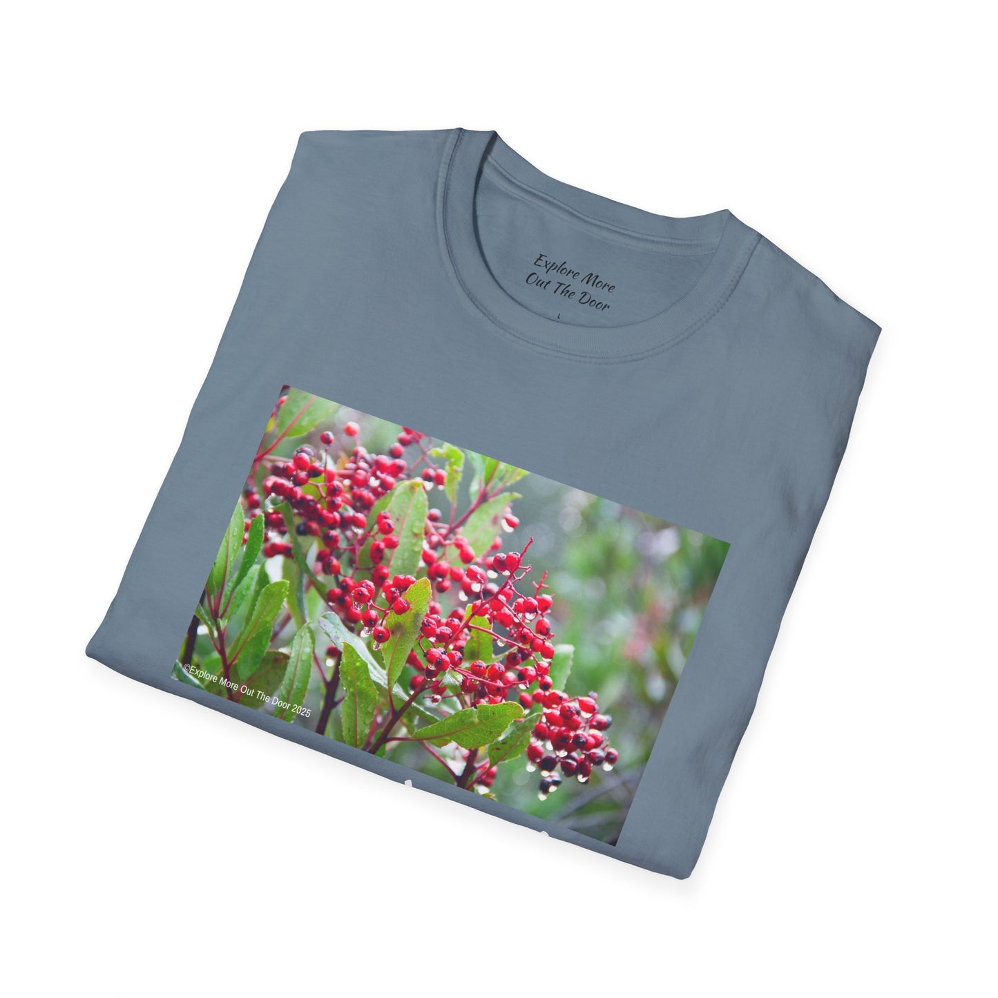 Berry and Bright Cheerful Softstyle T-Shirt
