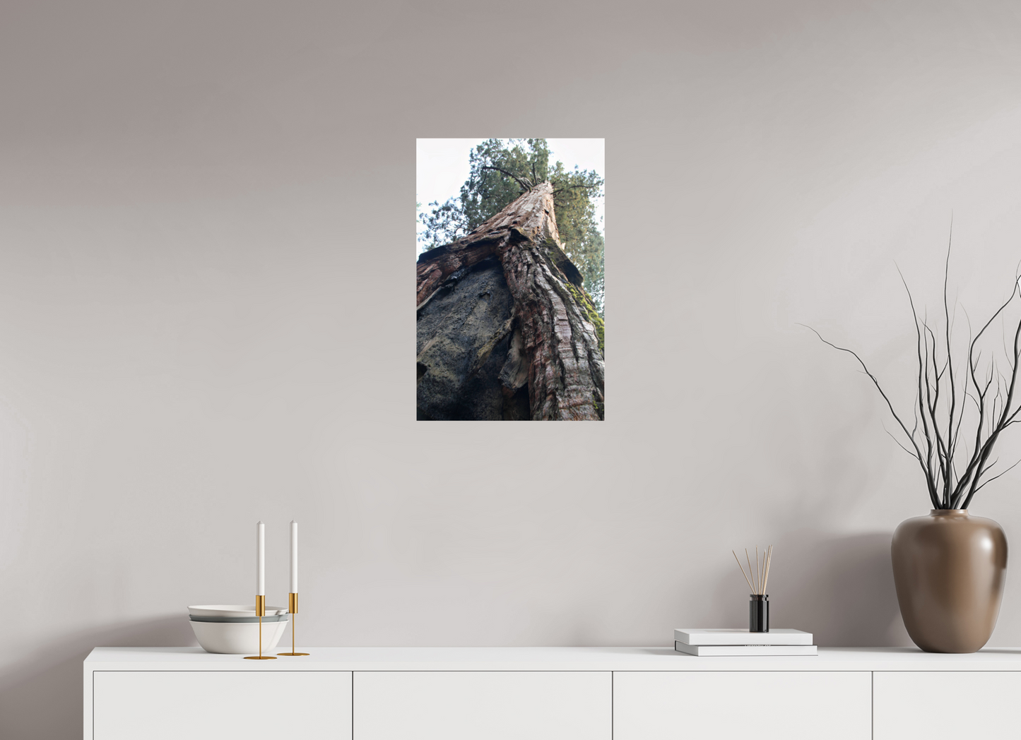 16 x 24″, Photo Print Under Acrylic Glass Redwood Sky High