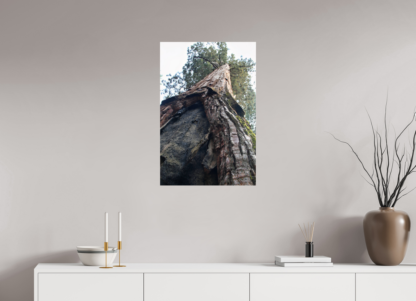20 x 30″, Photo Print Under Acrylic Glass Redwood Sky High