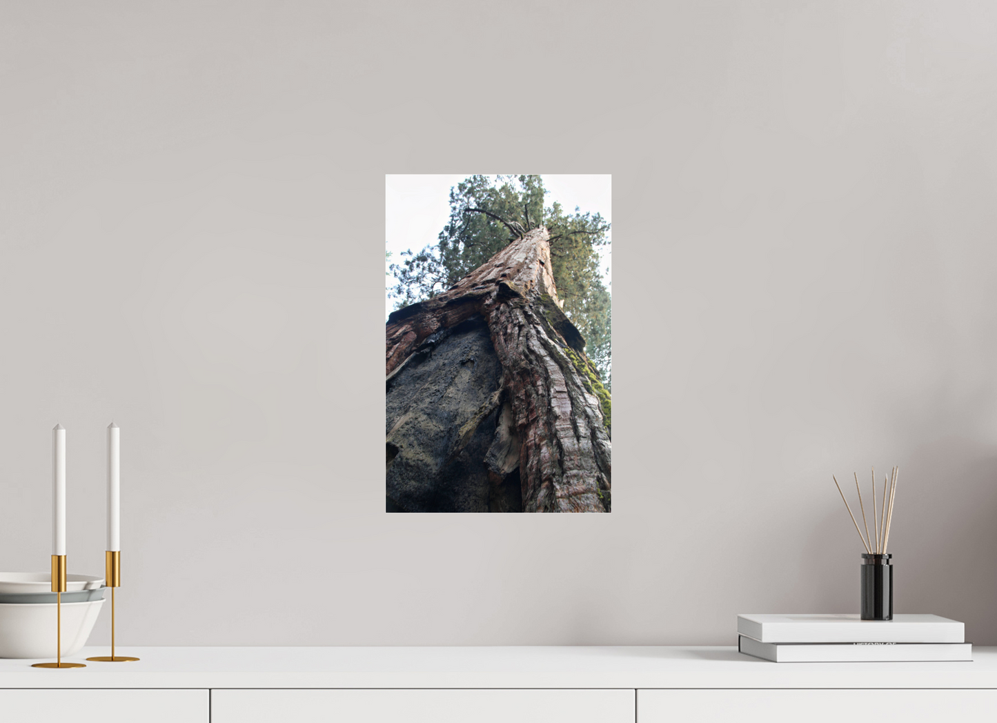 10 x 15″, Photo Print Under Acrylic Glass Redwood Sky High