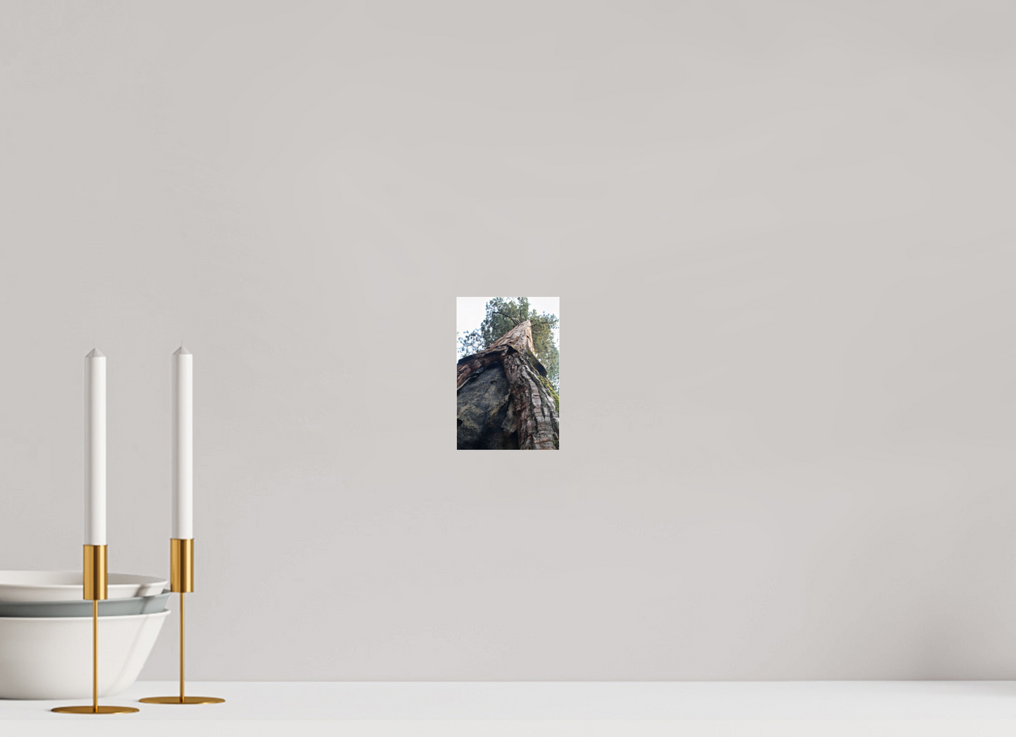 4 x 6″, Photo Print Under Acrylic Glass Redwood Sky High