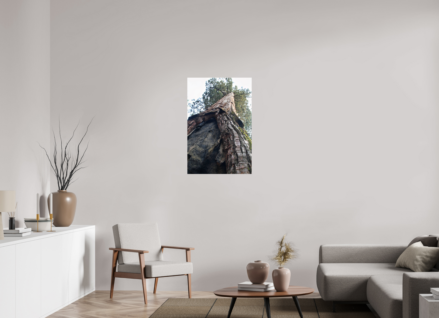 24 x 36″, Photo Print Under Acrylic Glass Redwood Sky High